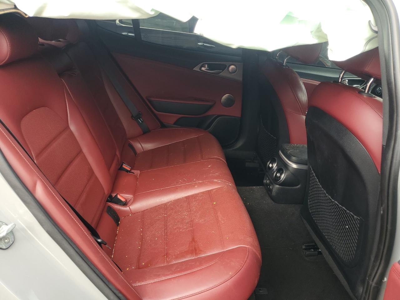 2019 Kia Stinger Gt2 VIN: KNAE55LC9K6066215 Lot: 70173075