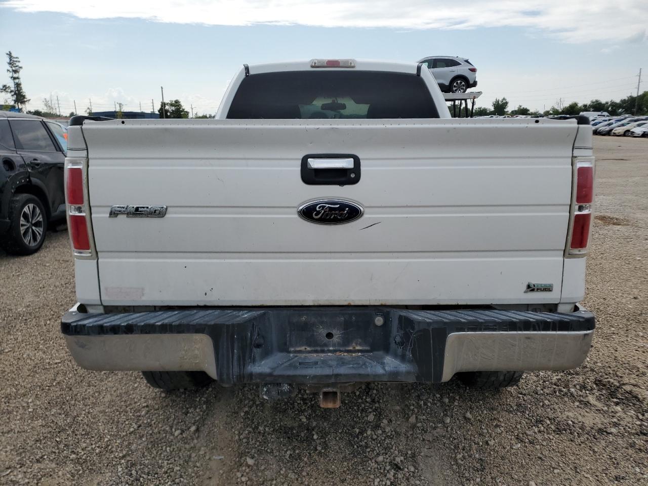 2010 Ford F150 Super Cab VIN: 1FTFX1EV4AFA21500 Lot: 68130975