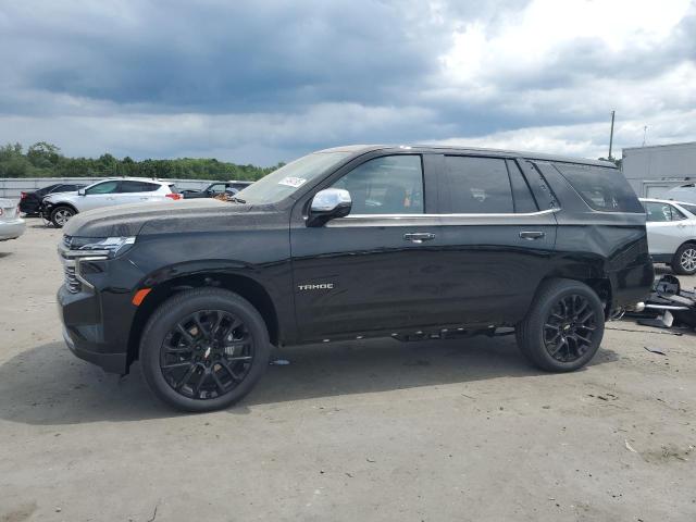  CHEVROLET TAHOE 2024 Black