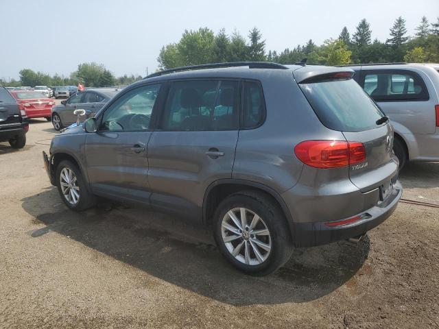 Parquets VOLKSWAGEN TIGUAN 2014 Szary