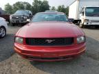 2007 FORD MUSTANG for sale at Copart CT - HARTFORD SPRINGFIELD