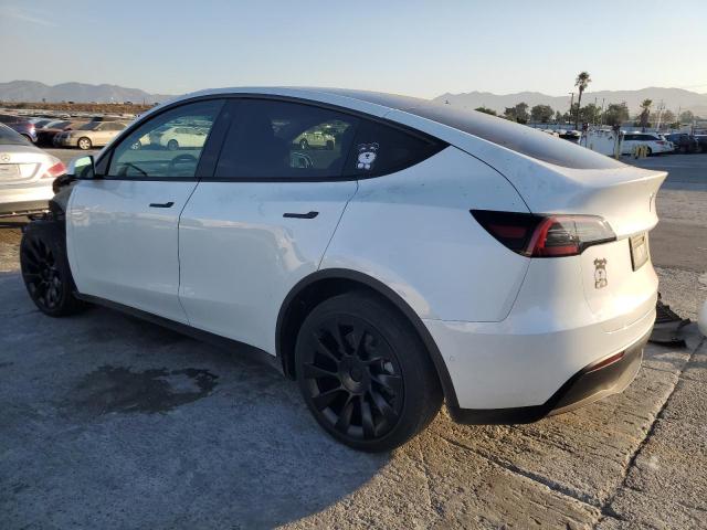  TESLA MODEL Y 2022 White