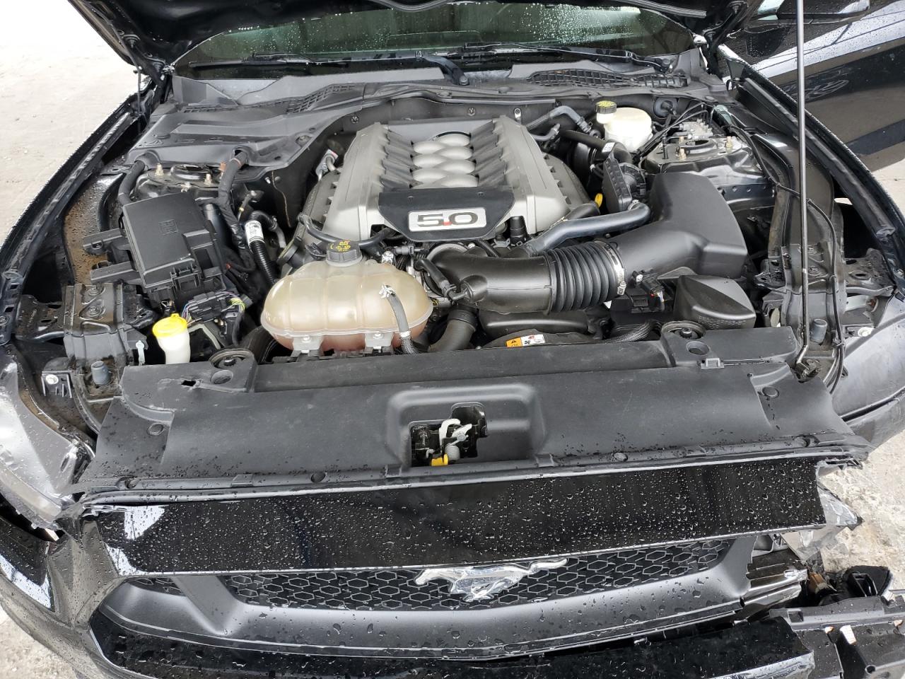 2017 Ford Mustang Gt VIN: 1FA6P8CF5H5239147 Lot: 68780295