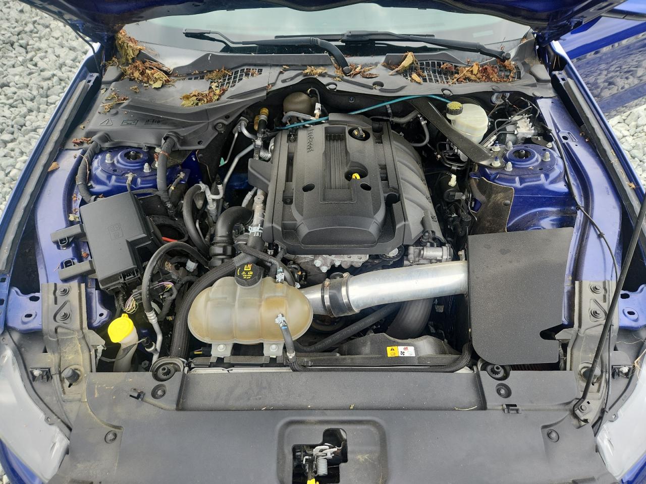 2016 Ford Mustang VIN: 1FATP8UH4G5312428 Lot: 67107705