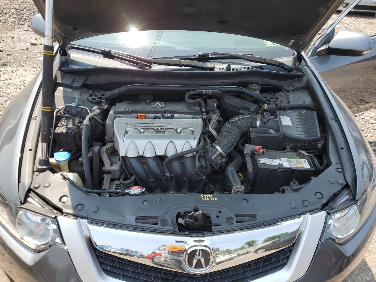 2009 Acura Tsx VIN: JH4CU26619C013438 Lot: 66825015