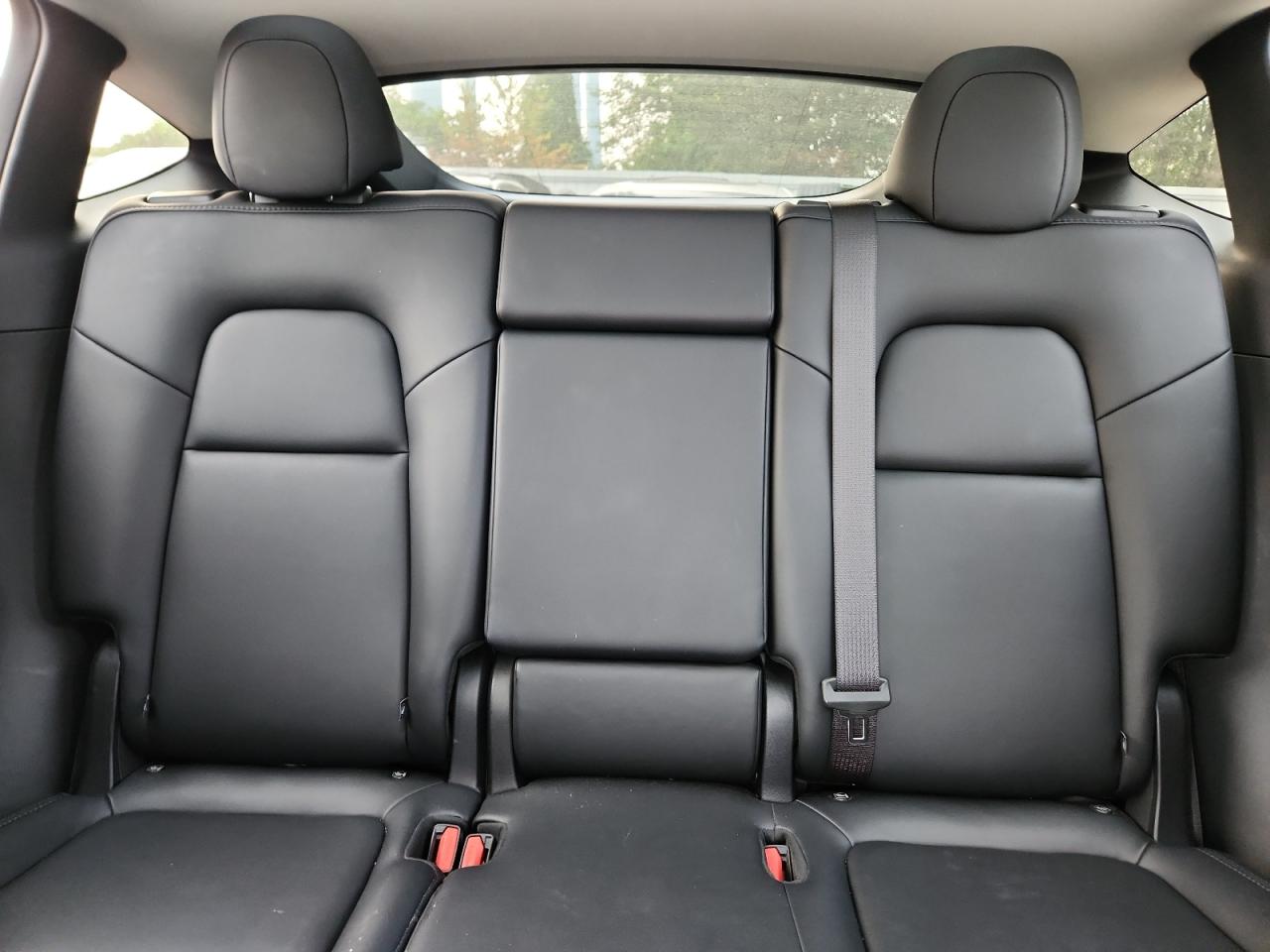 2024 Tesla Model Y VIN: 7SAYGAEE9RF209988 Lot: 67562205