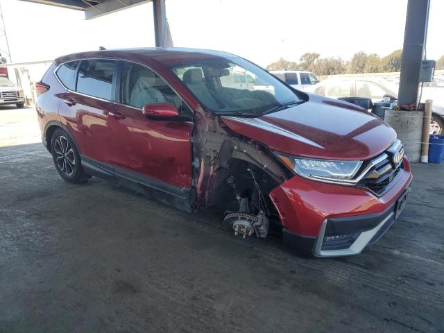  HONDA CRV 2021 Бургунди