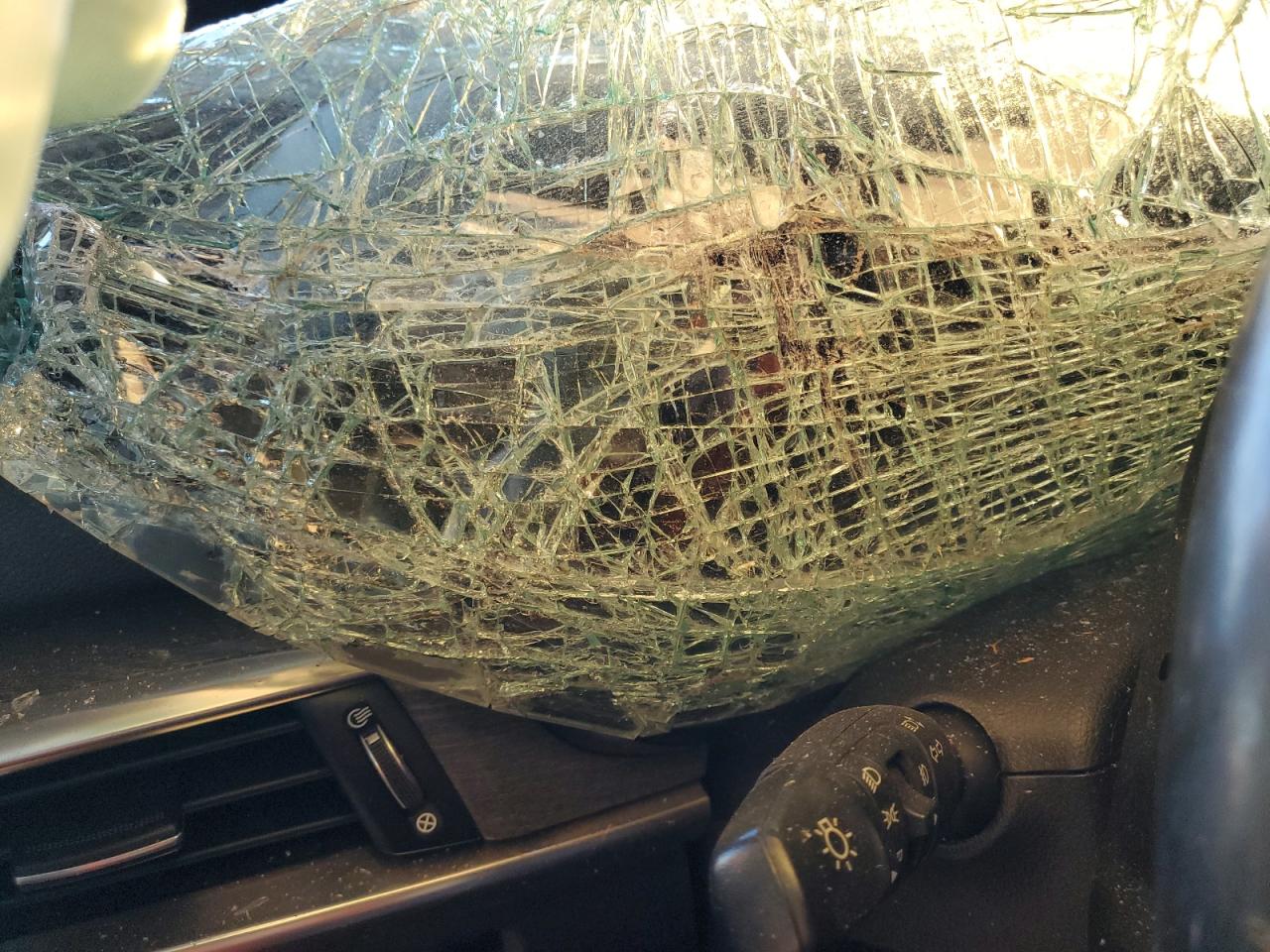 2020 Kia Telluride Sx VIN: 5XYP5DHC6LG053676 Lot: 69737175