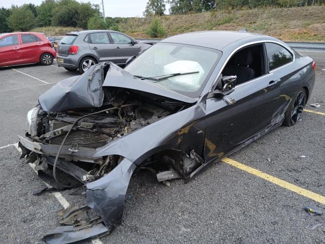 2018 BMW 2 SERIES 218I M SPORT 2DR [NAV] for sale at Copart SANDTOFT