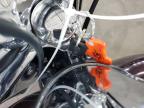 2005 HARLEY-DAVIDSON FLSTCI    for sale at Copart MN - MINNEAPOLIS NORTH