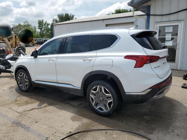  HYUNDAI SANTA FE 2021 Белы