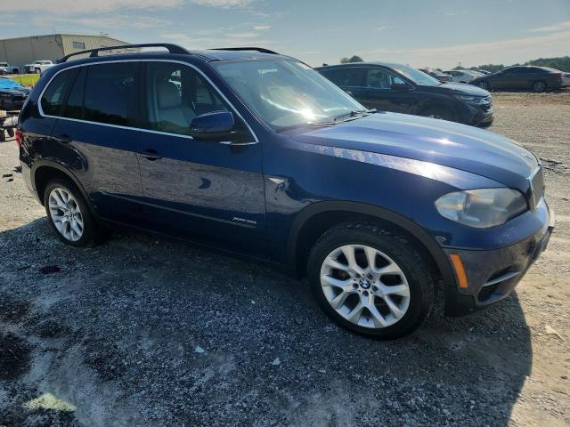 Parquets BMW X5 2013 Blue