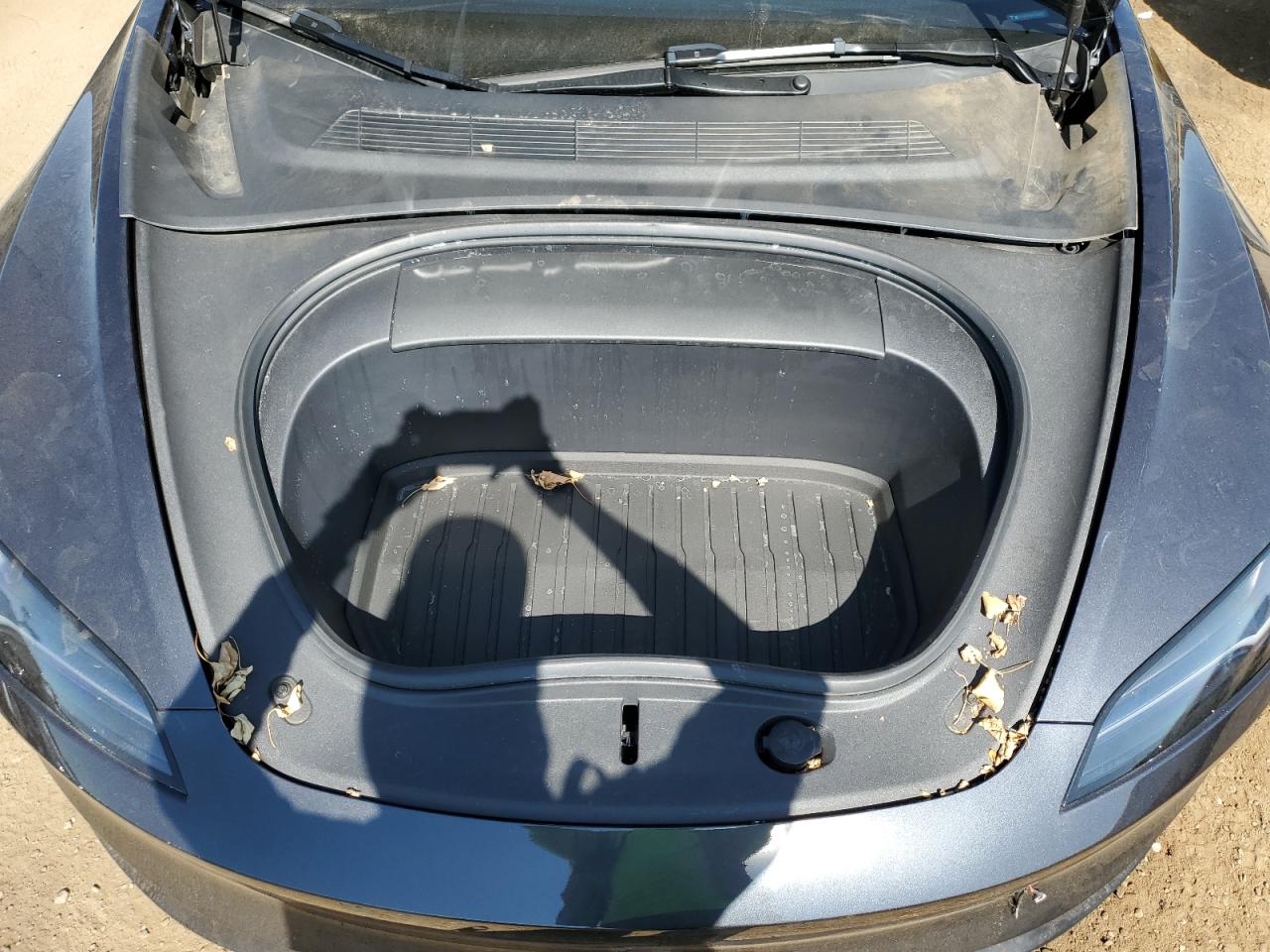 2024 Tesla Model 3 VIN: 5YJ3E1ET6RF796856 Lot: 68781525