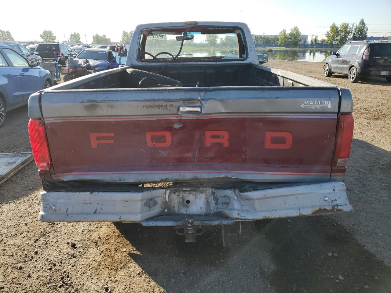 1990 Ford F150 VIN: 2FTEF15N6LCB10255 Lot: 70185315