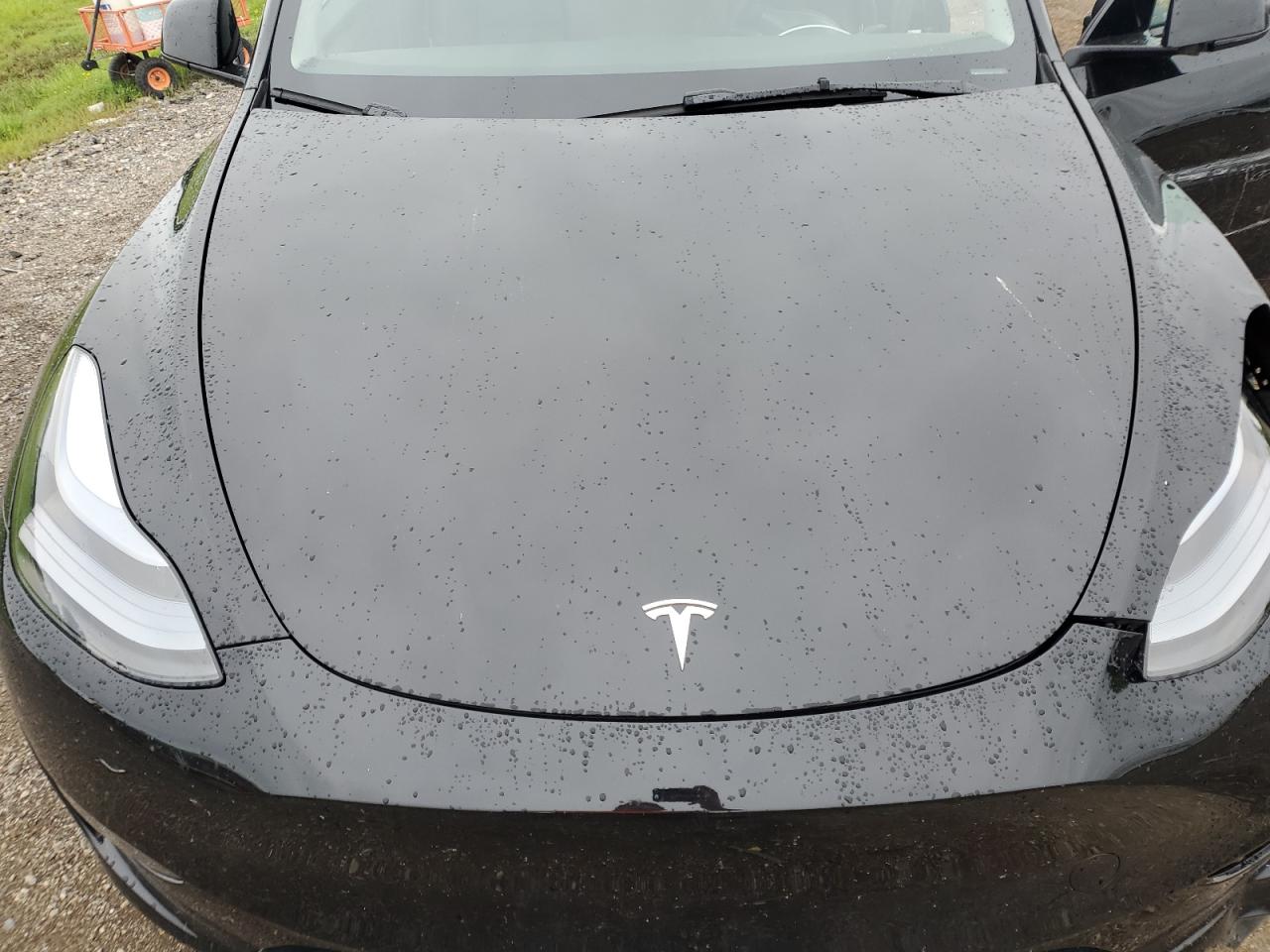 2025 Tesla Model Y VIN: 7SAYGDED8SF247954 Lot: 69747285