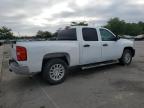 2010 CHEVROLET SILVERADO C1500   for sale at Copart KY - LOUISVILLE