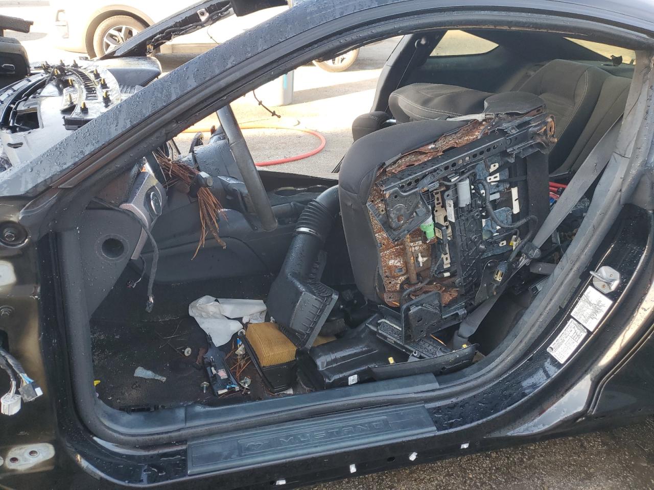 2017 Ford Mustang VIN: 1FA6P8TH6H5228207 Lot: 69043565