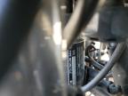 2019 MOTO GUZZI V7   for sale at Copart CA - SUN VALLEY