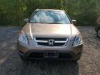2003 HONDA CR-V EX   for sale at Copart ON - COOKSTOWN