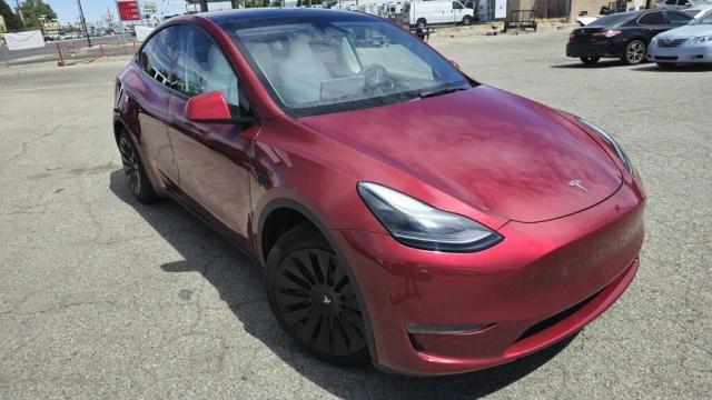 2025 Tesla Model Y