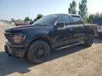 2024 FORD F150 XLT   à vendre chez Copart ON - LONDON