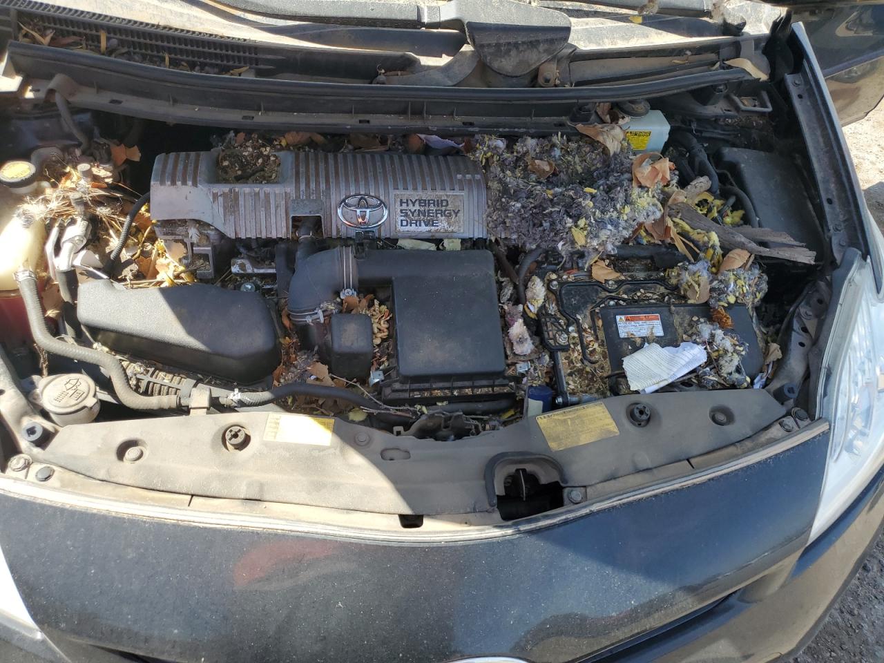 2013 Toyota Prius VIN: JTDKN3DU1D5578111 Lot: 68223705