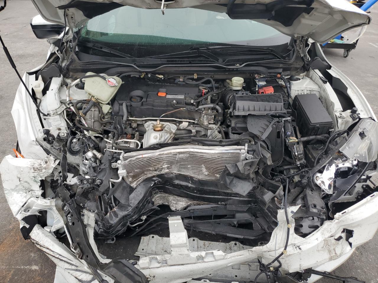 2019 Honda Civic Lx VIN: 2HGFC2F64KH557633 Lot: 68972795