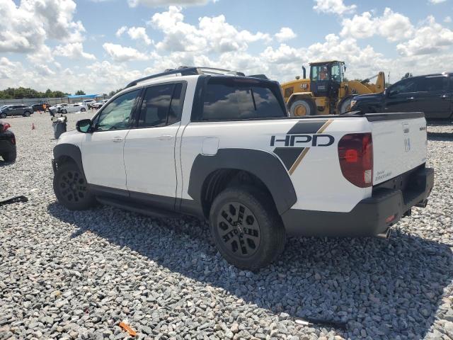  HONDA RIDGELINE 2023 Biały