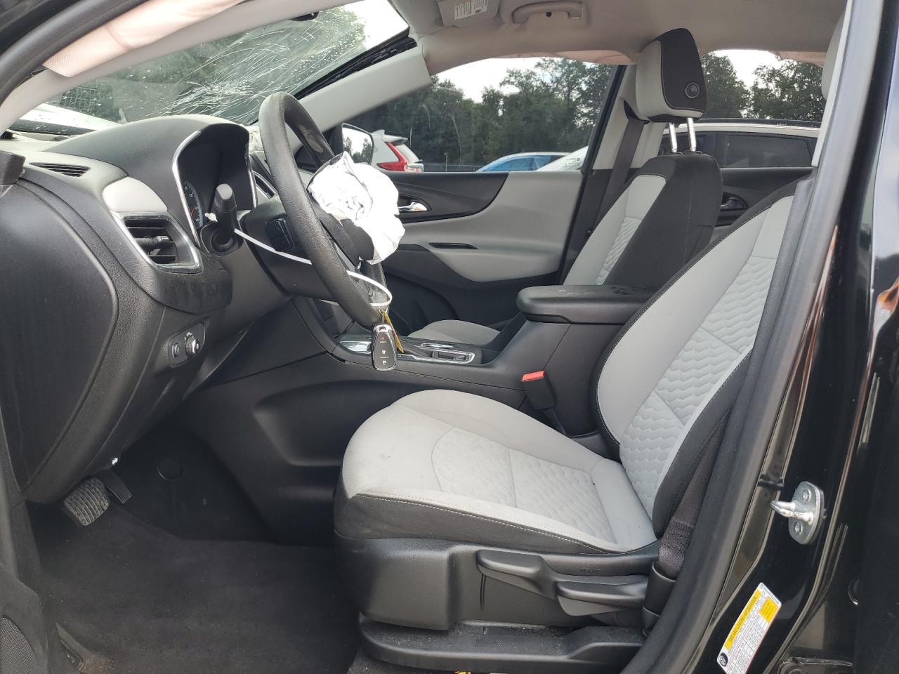 2020 Chevrolet Equinox Ls VIN: 2GNAXHEV8L6231539 Lot: 68664815