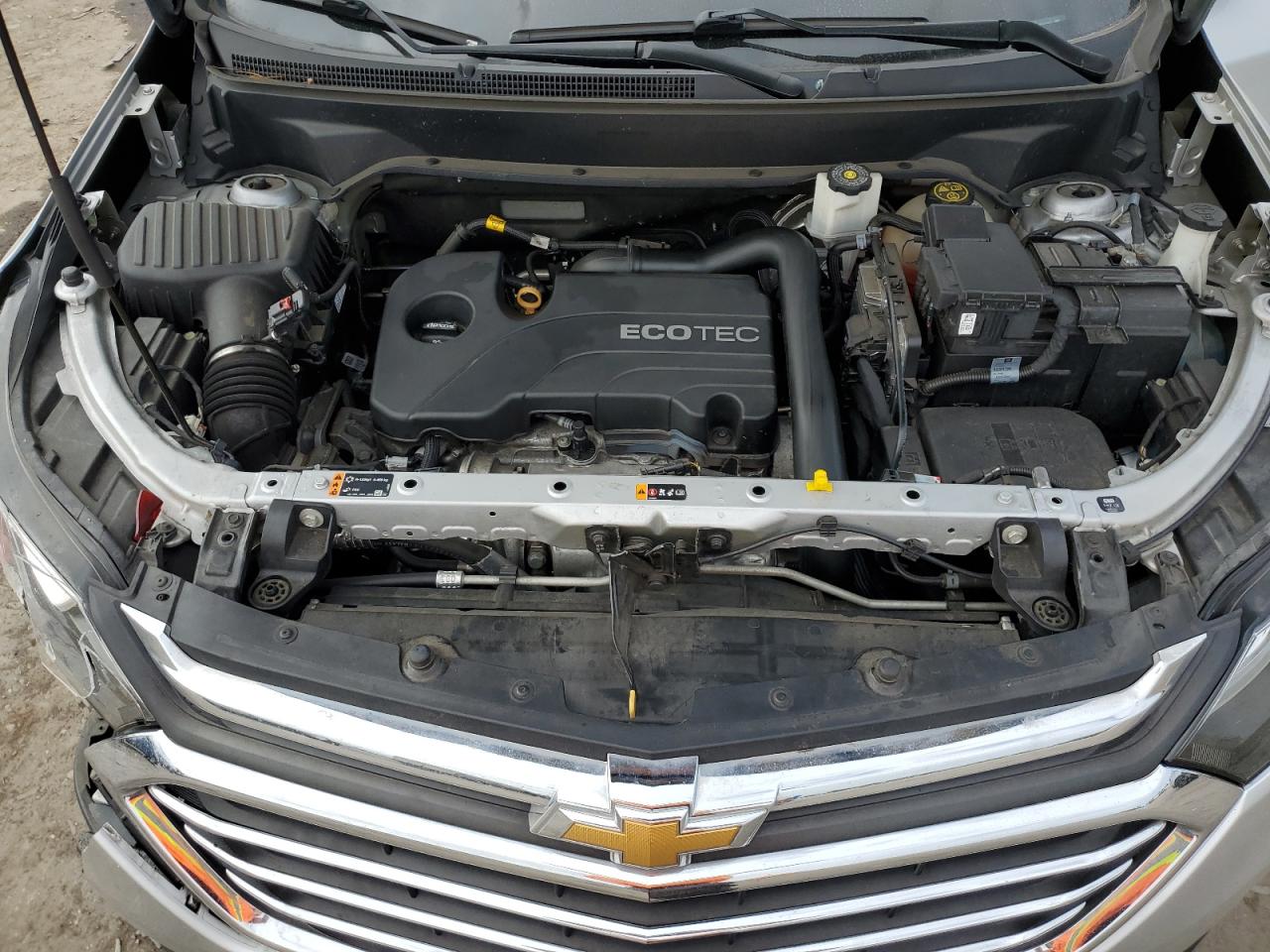 2019 Chevrolet Equinox Premier VIN: 2GNAXXEV3K6248564 Lot: 70032435