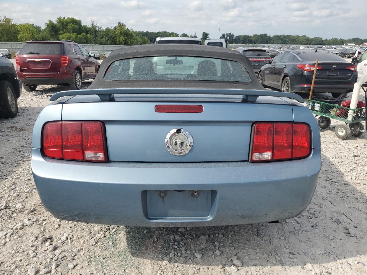 2006 Ford Mustang VIN: 1ZVHT84N265228122 Lot: 67741205