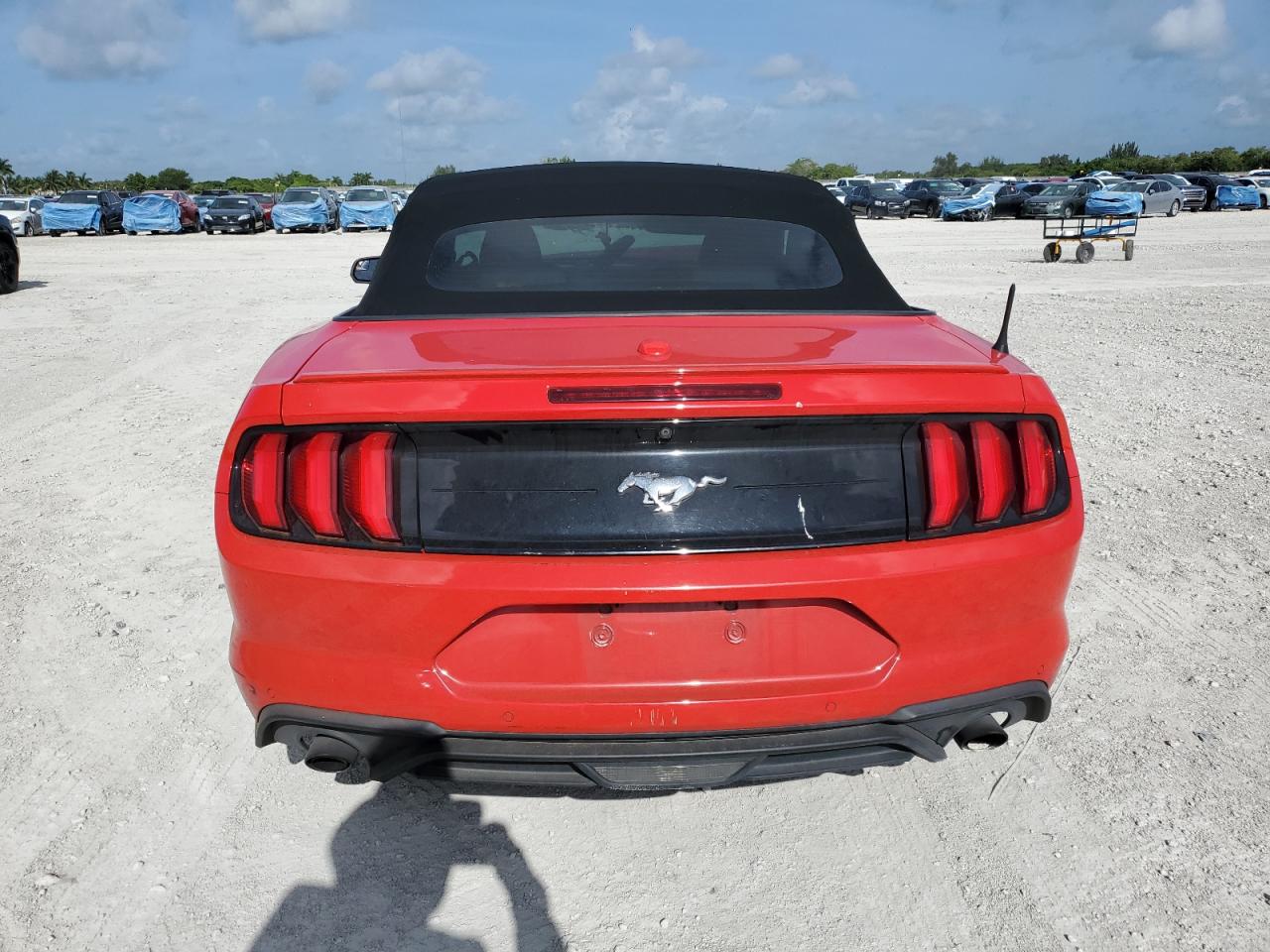 2019 Ford Mustang VIN: 1FATP8UH5K5171197 Lot: 67572785