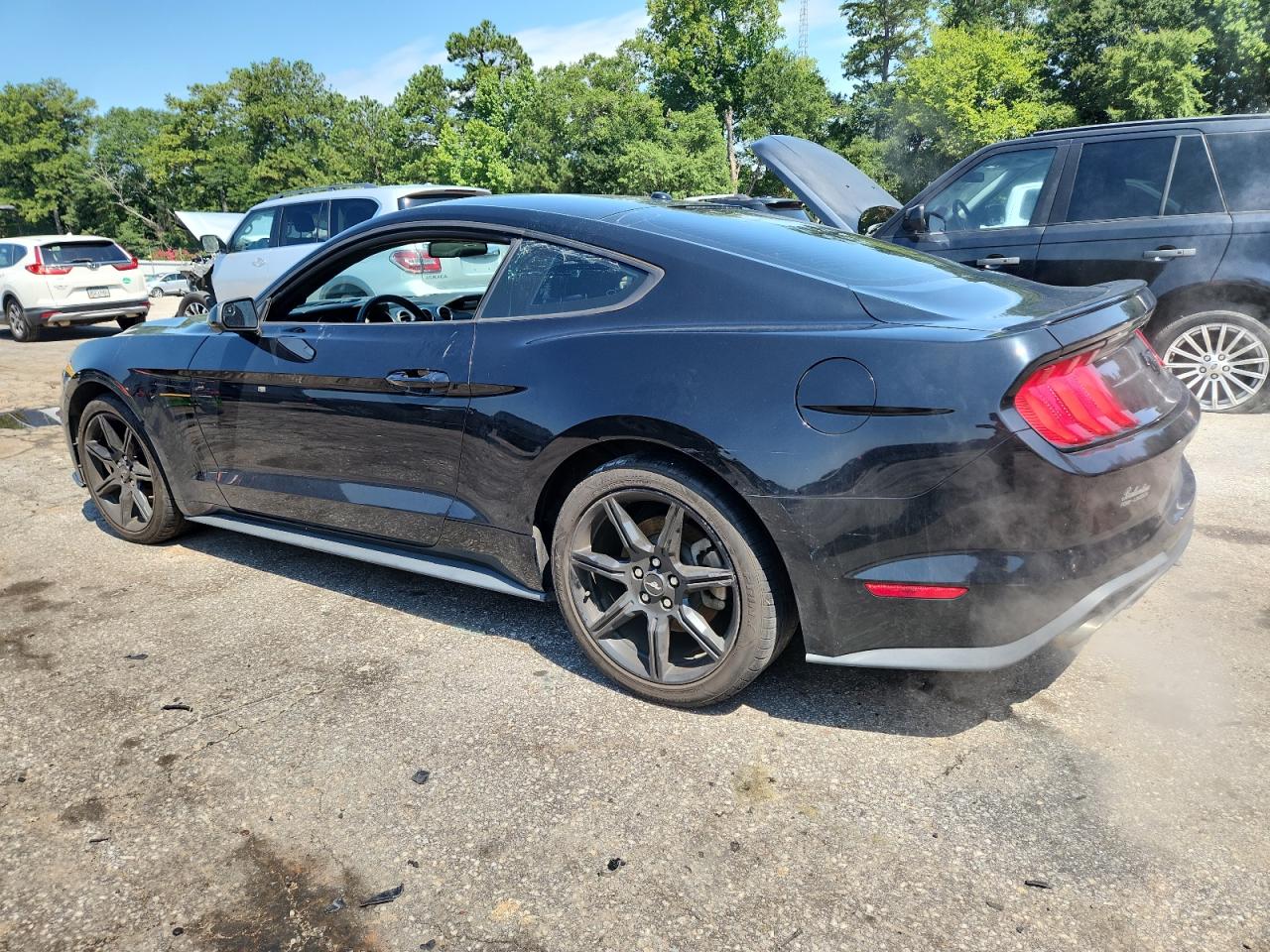 2019 Ford Mustang VIN: 1FA6P8TH9K5184663 Lot: 66951755