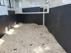 2024 TAILER TRAILER - TRAILERS for sale at Copart AB - CALGARY