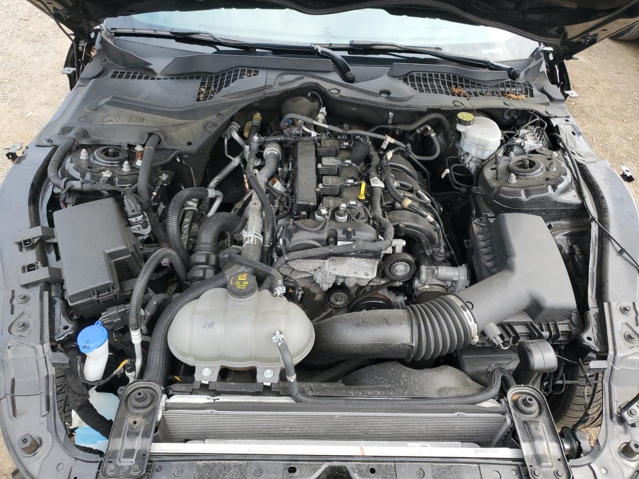 2022 Ford Mustang VIN: 1FA6P8TH7N5150614 Lot: 67109515
