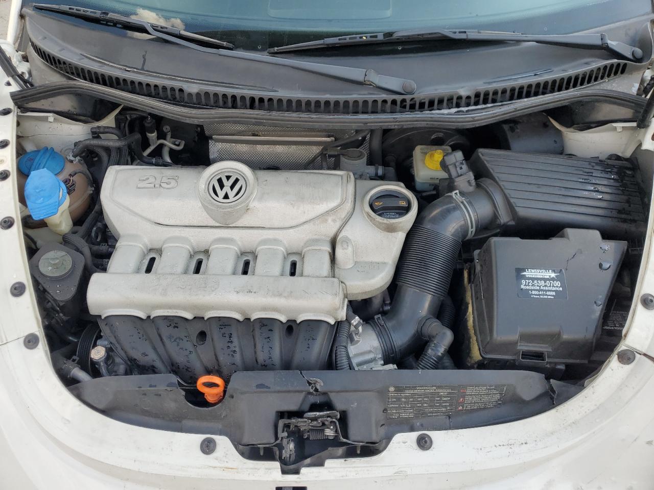 2009 Volkswagen New Beetle S VIN: 3VWPW31C89M509607 Lot: 69142665