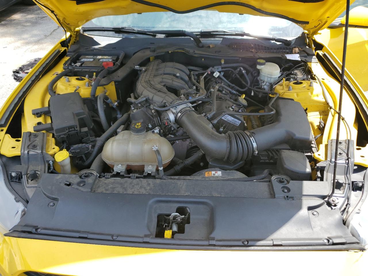 2016 Ford Mustang VIN: 1FA6P8AM9G5282065 Lot: 69702105