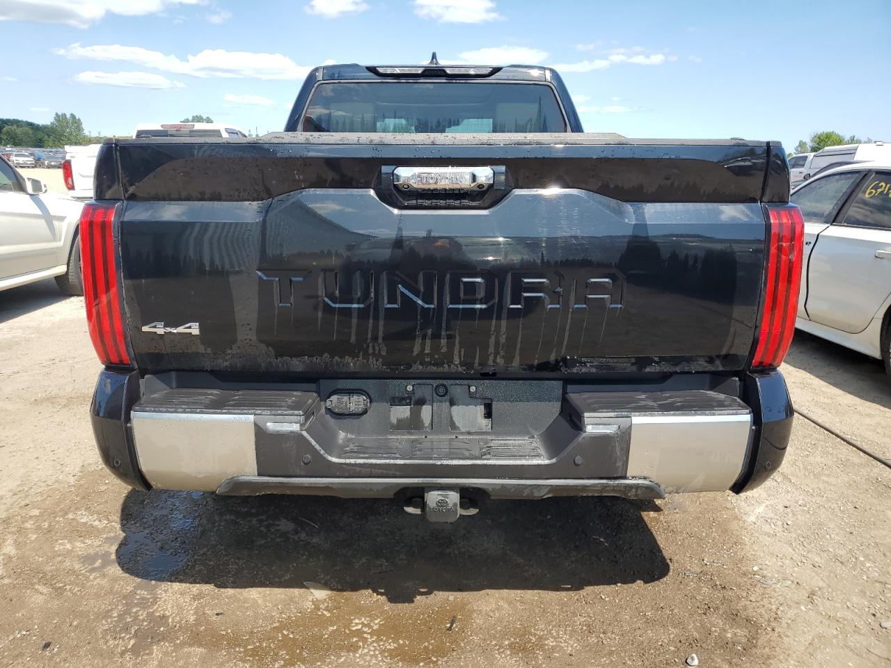 2022 Toyota Tundra Crewmax Limited VIN: 5TFJA5EC8NX007603 Lot: 63902945