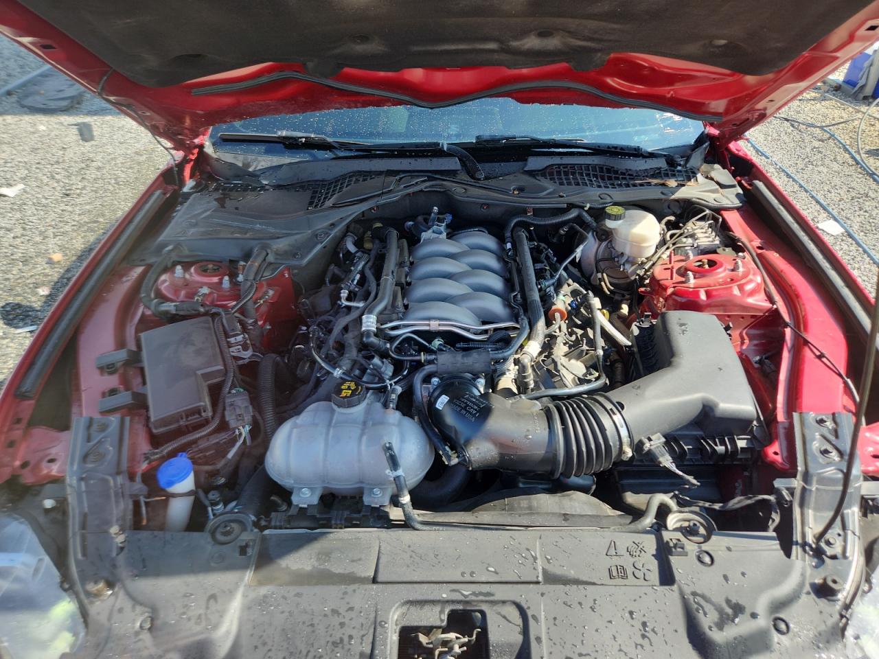 2020 Ford Mustang Gt VIN: 1FA6P8CF8L5177686 Lot: 70035775