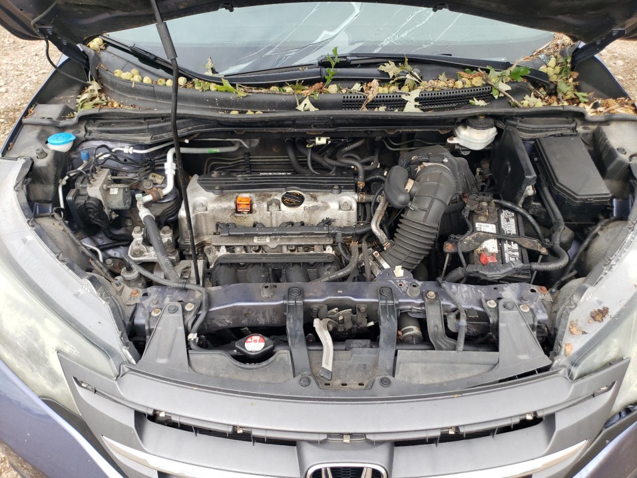 2012 Honda Cr-V Exl VIN: 5J6RM4H71CL019707 Lot: 69758595