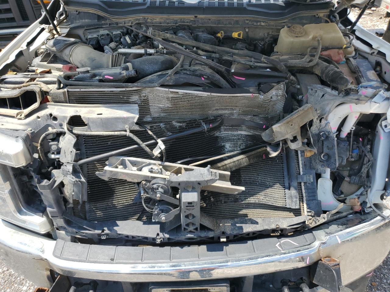 2019 Ford F350 Super Duty VIN: 1FD8W3HT1KEF37088 Lot: 66436445