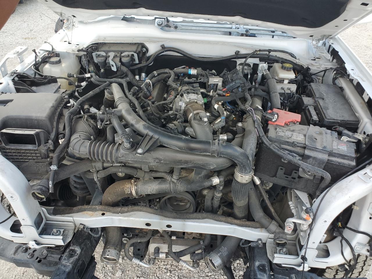 2024 Ford Bronco Outer Banks VIN: 1FMEE8BP7RLA12895 Lot: 69873925