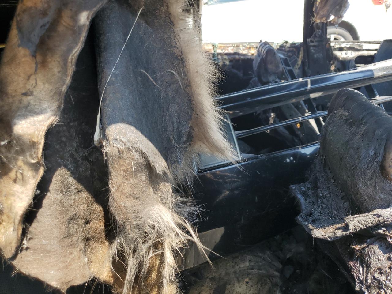 2004 Infiniti M45 VIN: JNKAY41E74M401587 Lot: 68311155