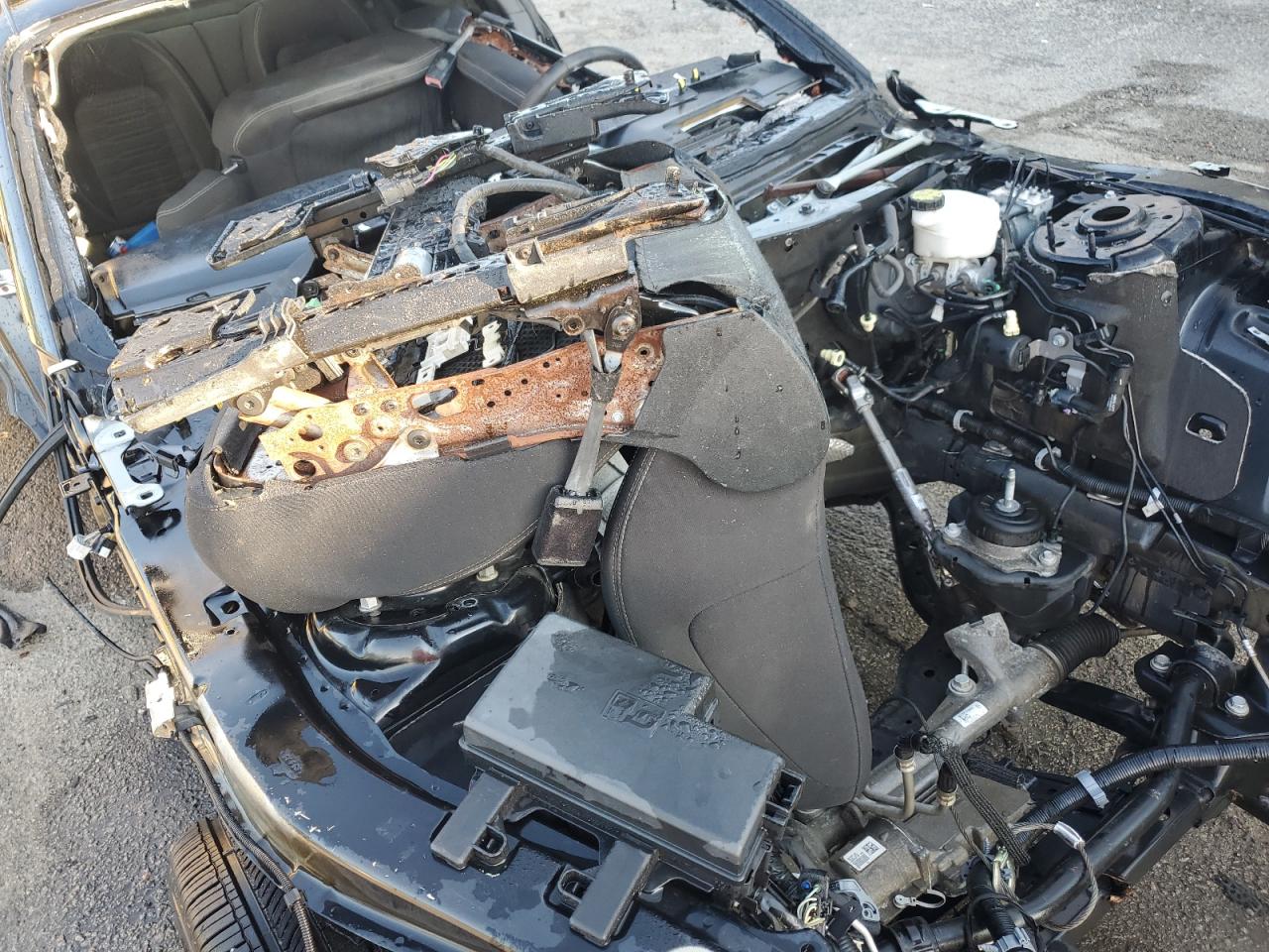 2017 Ford Mustang VIN: 1FA6P8TH6H5228207 Lot: 69043565