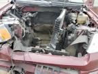 2004 FORD F150    à vendre chez Copart CA - HAYWARD