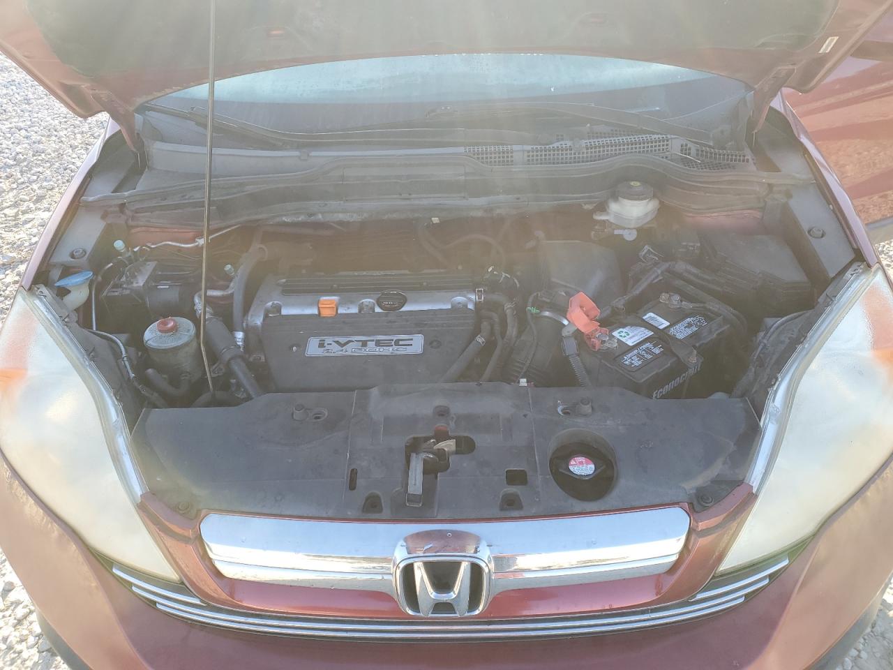 2007 Honda Cr-V Exl VIN: JHLRE48797C117217 Lot: 70384005