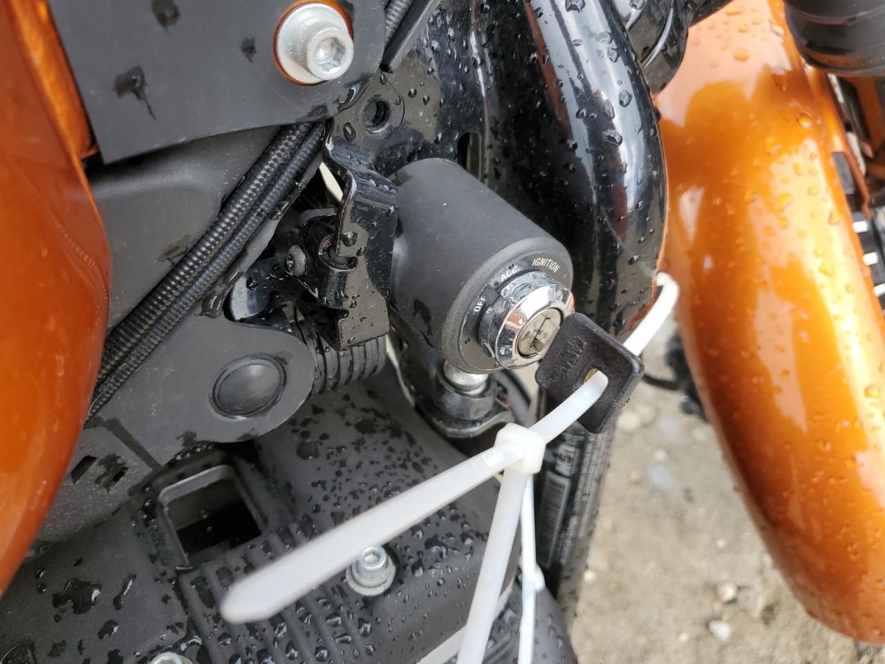 2014 Harley-Davidson Xl883 Iron 883 VIN: 1HD4LE210EC425749 Lot: 70164365