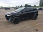 2017 JEEP CHEROKEE TRAILHAWK   à vendre chez Copart ON - LONDON