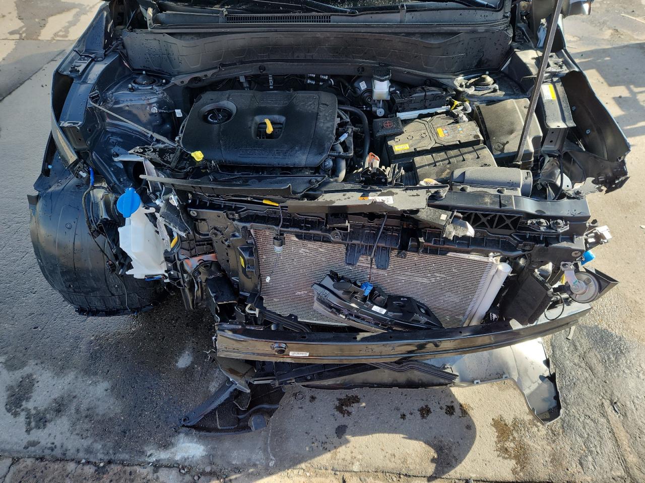 2024 Kia Seltos Ex VIN: KNDERCAA8R7597231 Lot: 80136275