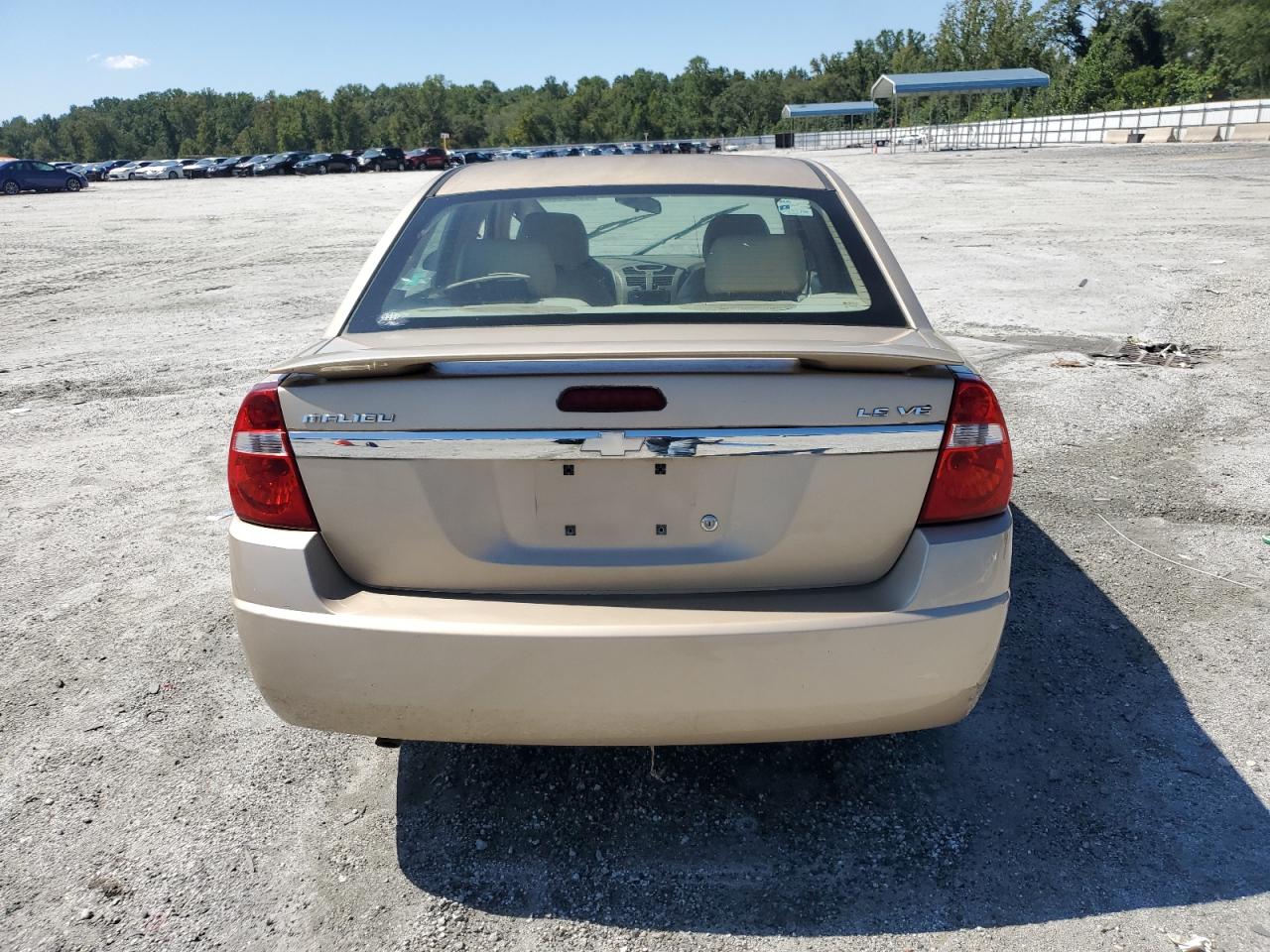 2005 Chevrolet Malibu Ls VIN: 1G1ZT54815F168853 Lot: 69921925